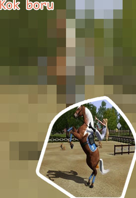 Horse games