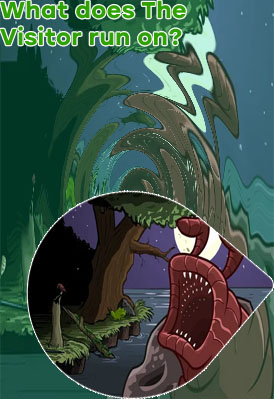 The visitor game
